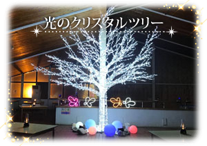 ̃NX^c[